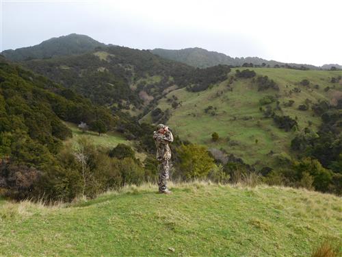Abe Froese Glassing for Red Stag 